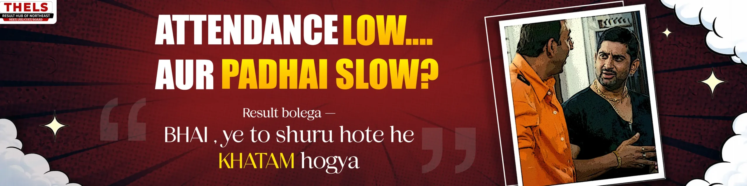 THELS Information Banner