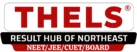 THELS Academy Logo
